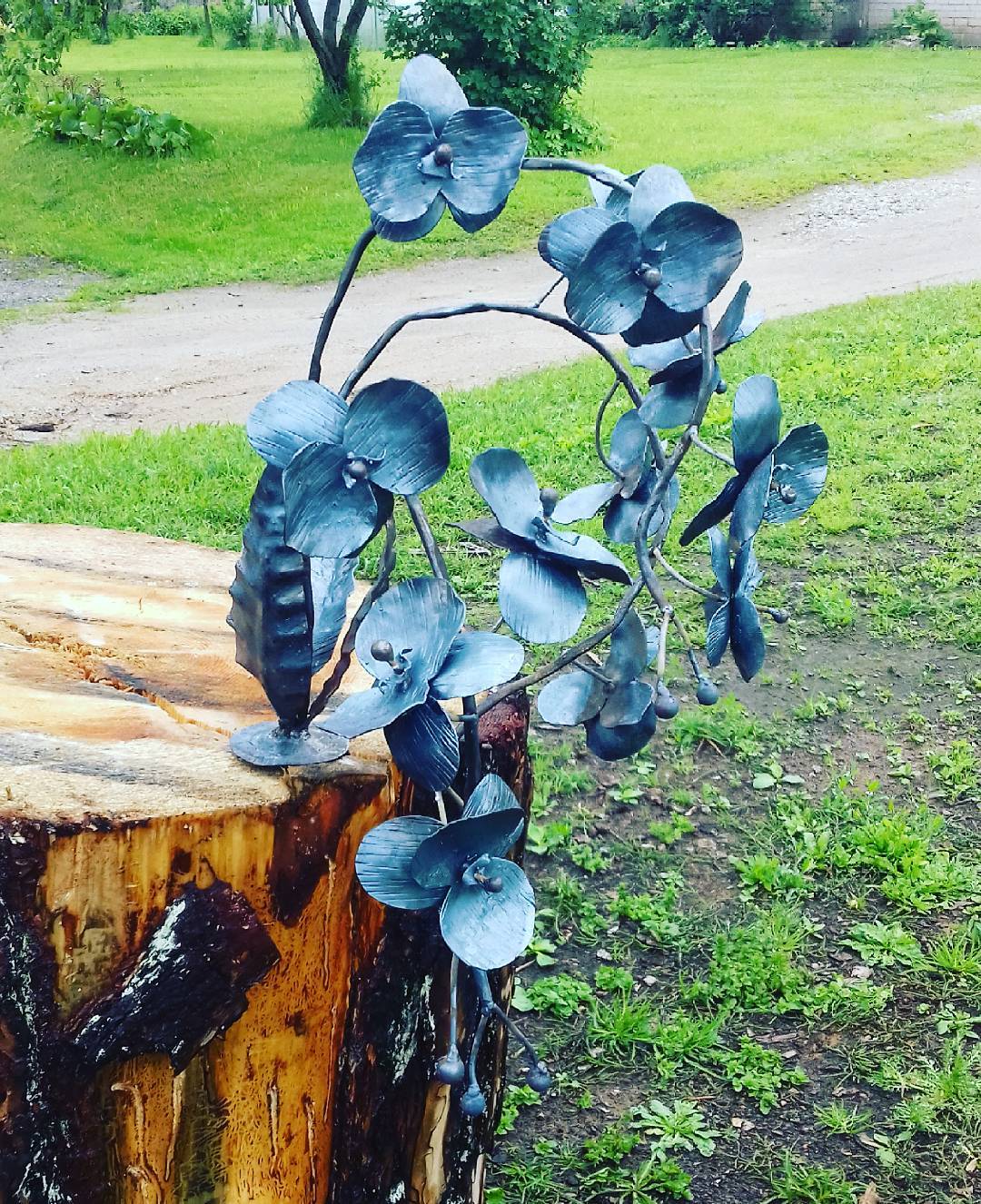 metaline orchideja